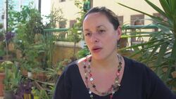 From concrete jungle to urban oasis News Clip