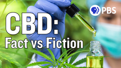 CBD is Everywhere, But Who's Regulating It? Instructional Video