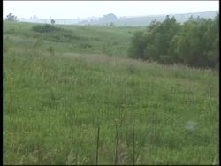 Exploring the Diversity and Characteristics of Grasslands Instructional Video