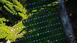 Old Cemetery in a park (aerial) Stock Footage
