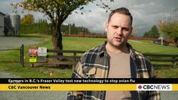 Farmers in B.C.'s Fraser Valley test new technology to stop avian flu News Clip