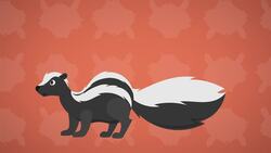 I WONDER - How Does A Skunk Protect Itself? Me Pregunto - Cómo Se Protege Una Mofeta? Instructional Video