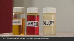 ‘Green diesel’ business booms at revitalized N.L. refinery News Clip