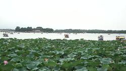 The Summer Palace Stock Footage