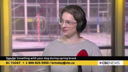 Tips for travelling with your dog News Clip