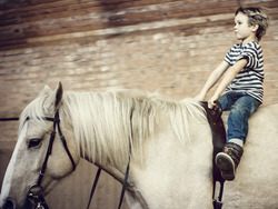 Exploring Independence: Life of a Cat and the Value of Making Decisions Instructional Video