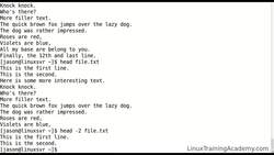 Linux Administration Bootcamp: Go from Beginner to Advanced - Viewing Files and the Nano Editor Instructional Video