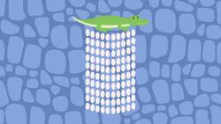 I WONDER - How Many Eggs Do Crocodiles Lay? Me Pregunto - Cuántos Huevos Ponen Los Cocodrilos? Instructional Video