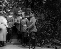 Kaiser Wilhelm II has group photo with German generals. Their wives pose with their dogs. 1914 Stock Footage