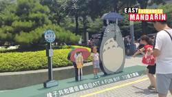 What are you doing today? Instructional Video