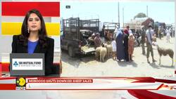Morocco clamps down on sheep sales ahead of Eid Al-Adha amid drought crisis News Clip