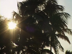 ¿Qué es la luz?: recapitulando Instructional Video