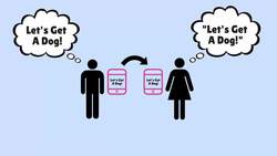 Transmission Model of Communication: Shannon and Weaver Instructional Video