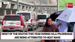 MEA Confirms 98 Indians Died In Saudi Arabia During Hajj Pilgrimage | Watch News Clip