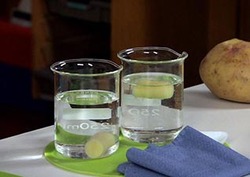 Osmosis and Volume Instructional Video