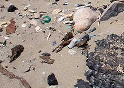 Contaminación terrestre Instructional Video