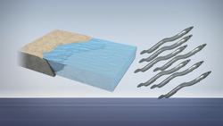 European glass eels use internal magnetic compass to navigate waters Instructional Video