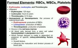 Anatomy - Basics of the Formed Elements RBCs, WBCs, & Platelets Instructional Video