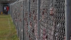 Raheem Sterling playing football in Trench Town News Clip