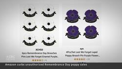 Royal Canadian Legion fights back against unauthorized poppy sales News Clip