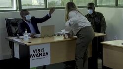 CLEAN : Too many gorillas? The great apes' hunt for space in Rwanda News Clip
