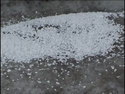 Reactions: Introduction Instructional Video