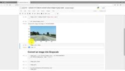 Create a computer vision system using decision tree algorithms to solve a real-world problem : [Activity] View colored image and convert RGB to Gray Instructional Video