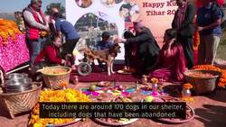 Hindu festival honours man's best friend News Clip