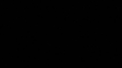 CLEAN : French far-right: "Our borders are sieves" says presidential candidate Marine Le Pen News Clip