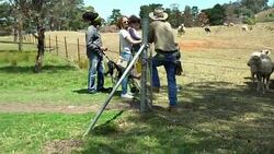 A family with two children visited an organic farm Stock Footage