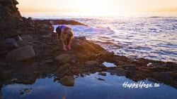 Midday Energizing Yoga Flow Instructional Video