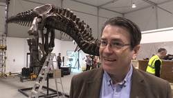 Tyrannosaurus rex skeleton begins to be pieced together in Glasgow News Clip