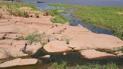 CLEAN : Drought brings Paraguay river levels at an all time low News Clip