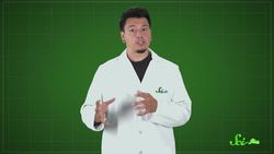 Scientists Had Some Bad Ideas | Scishow Quiz Show Instructional Video