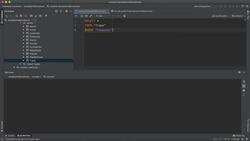 Job-Ready SQL in an Afternoon - Filtering Null Values Instructional Video
