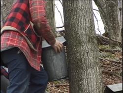 Exploring Forest Biomes: Introduction Instructional Video