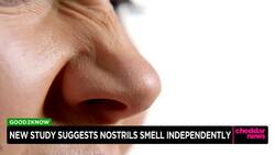 New Study Suggests Nostrils Smell Independently News Clip
