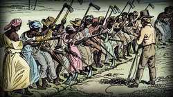 The US Constitution, 3 5, and the Slave Trade Clause Crash Course Black American History Instructional Video