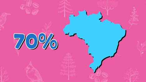 Five Facts - Brazil