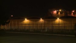 Russian performance artist released from French prison Instructional Video