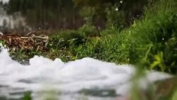 Watering in the field Stock Footage