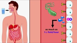 Cholera: Vibrio cholerae O1 and O139 Instructional Video