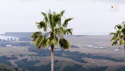 Step Inside America_s Castle Instructional Video