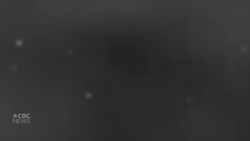 WW I vet's family donates memorabilia to U of Winnipeg News Clip