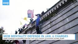 Alleged Rioters Say Jan. 6 Wasn't Their Fault, Blame 'Mob Mentality' News Clip