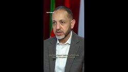 Arab states “haven’t taken substantive action” to end Israel's war on Gaza News Clip