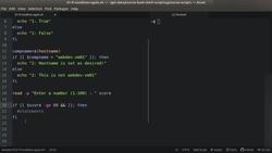 Bash Shell Scripting - Conditional Statement - if..then..else Instructional Video