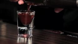 How to Make an Alabama Slammer Instructional Video