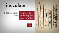 Hamlet 3.1 Word Nerd: Inoculate Instructional Video
