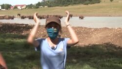CLEAN : In the Alpes-Maritimes, the Monts d'Azur reserve combines wildlife and eco-tourism News Clip